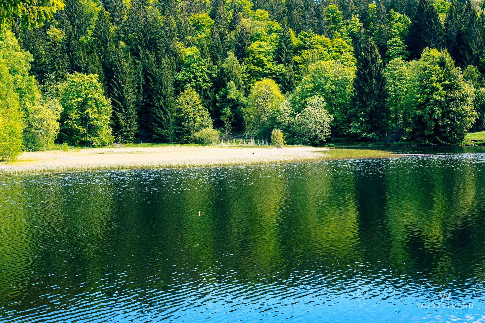 Klosterweiher in Horbach